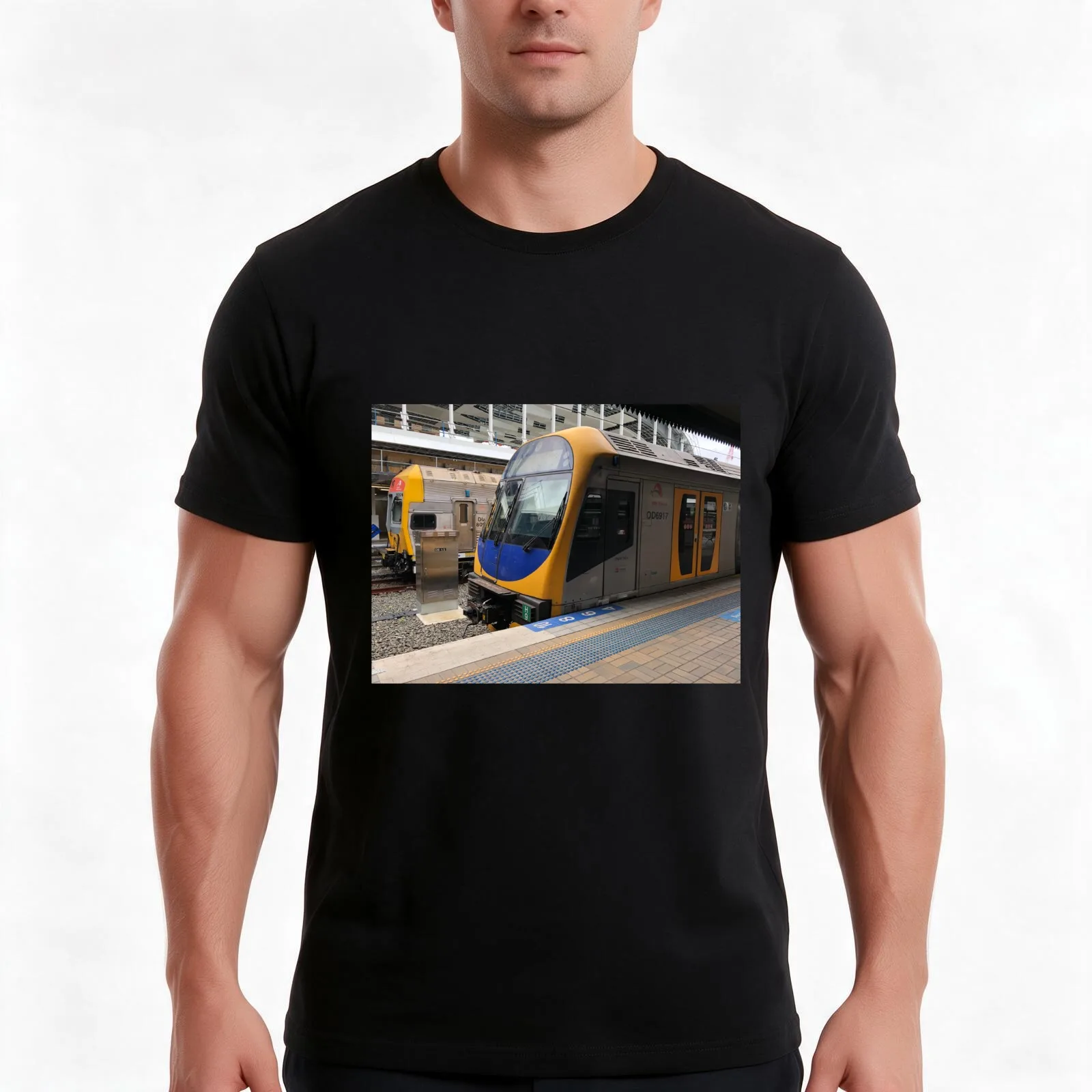 NSW TrainLink InterCity V Set and H Set at Central Station T-Shirt Summer Casual Cotton Tee Oversized Streetwear Tops