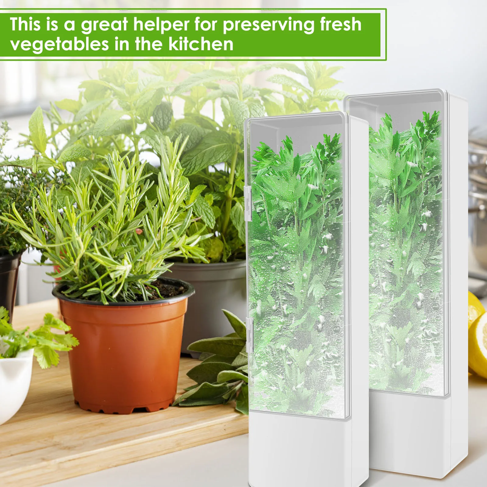 Herb Crisper Refrigerator Vegetable Crisper Kitchen Fresh Herb Crisper Cilantro Mint Parsley Asparagus Storage Box