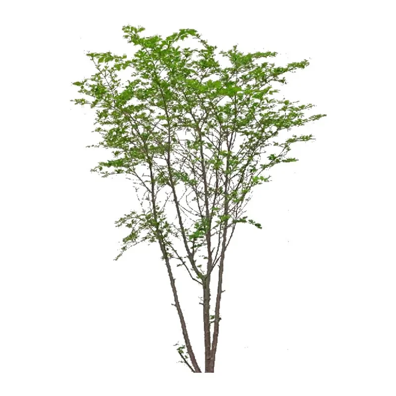 

Simulation large green plant decoration fake tree floor potted plant chicken feet maple tree indoor patio matching