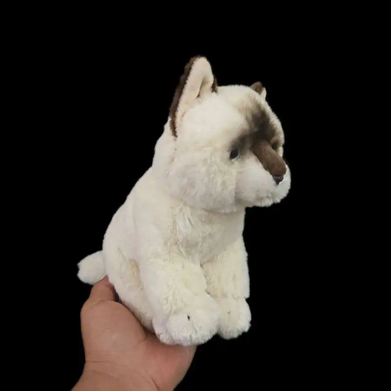 

Super Soft and Cute Cat Plush Toy Simulated Animal Siamese Cat Doll Lifelike Animals Simulation Stuffed Doll Kawaii Toy Gifts
