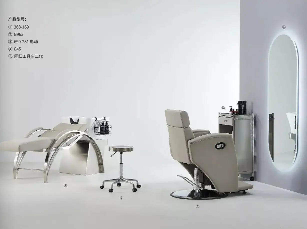 DSABarber Shop Hair Salon Physiotherapy Large Chair Electric Lifting Simple Hair  Chair Health Salon Hair Salon