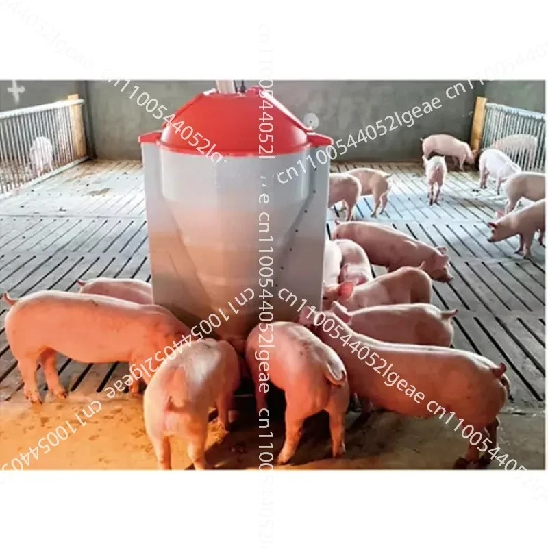 Intelligent Intelligent Gruel Feeder Essential Equipment for Animal Husbandry