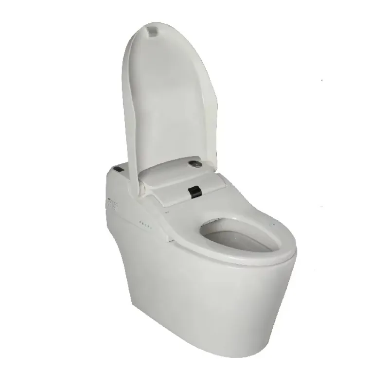 One-Piece Smart Toilet V8700 view 5