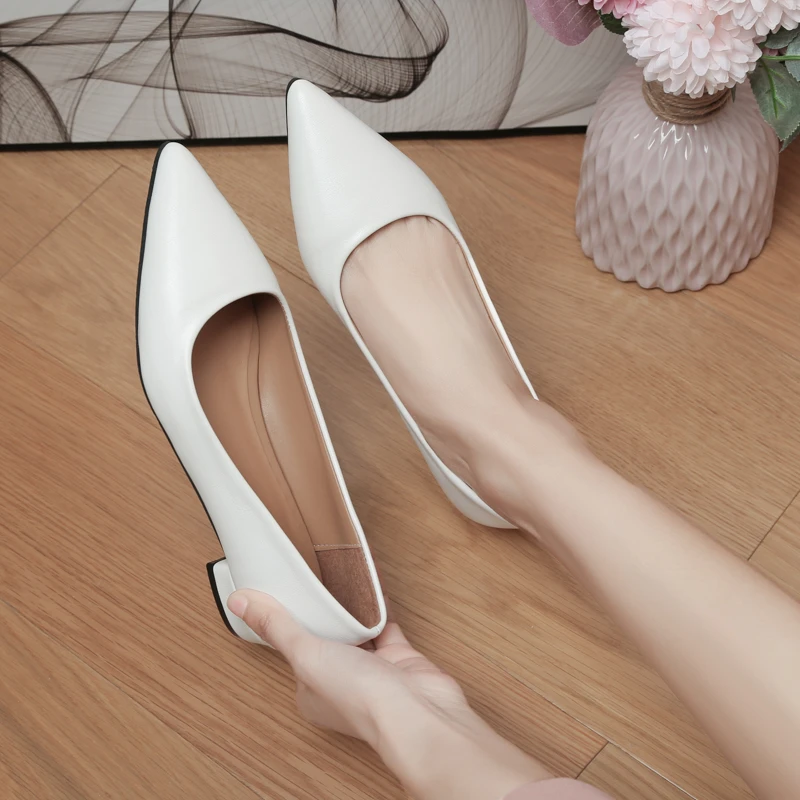 Women's Elegant Fashion Low Heels Dress Zapatos Mujer New Pointed Toe Shallow Mouth Square Heel Small Leather Shoes