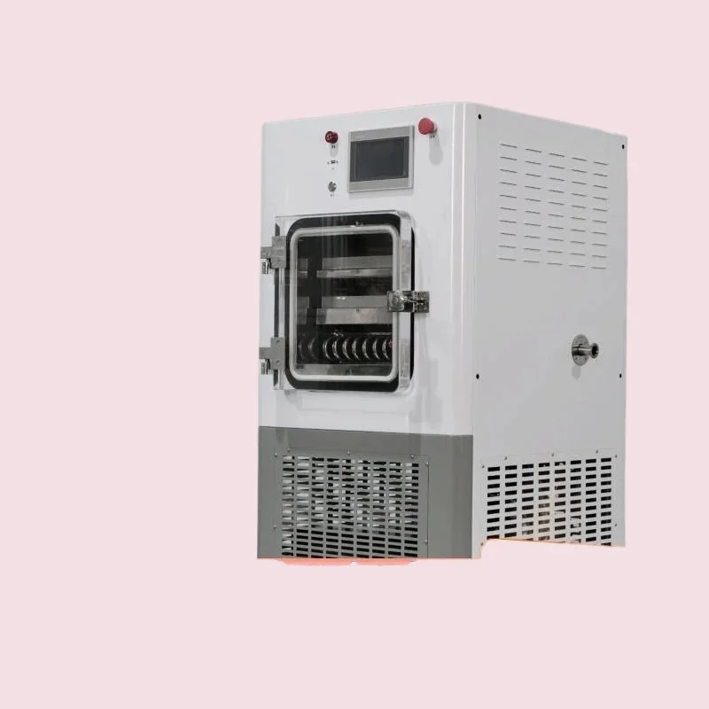 

Mini Desktop Vacuum Freeze Dryer, Household Food Preservation, Easy to Operate