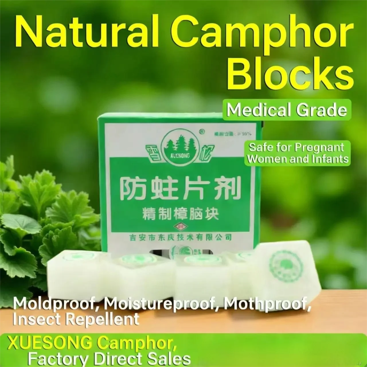Bloques de Alcanfor Natural para Aromaterapia, Eliminador de Olores, Tabletas Antihumedad y Antimoho, Previenen la Oxidación en Platos de Plata