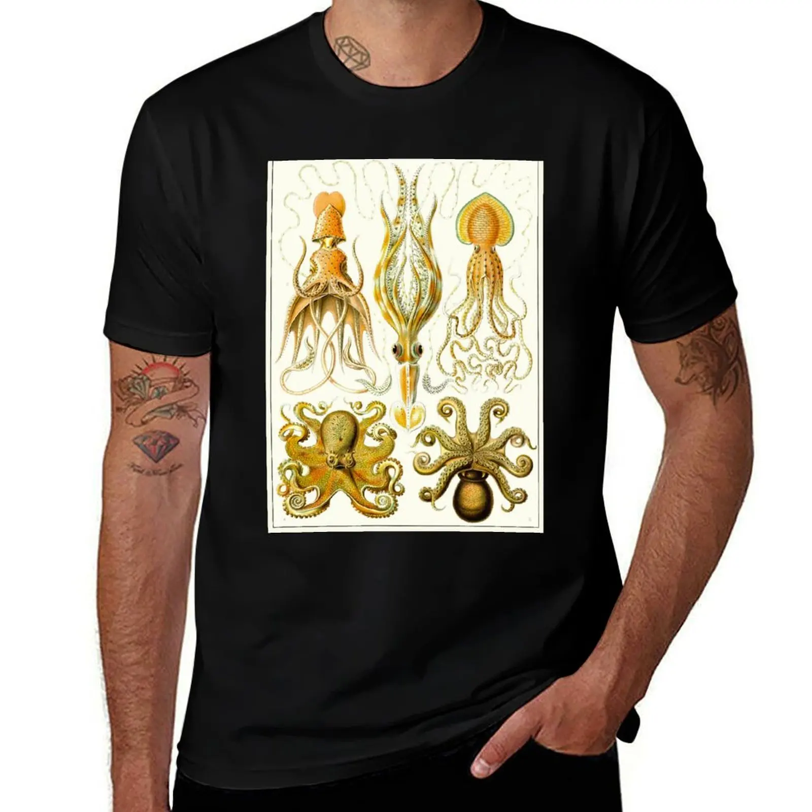 Plate 54. Gamochonia, an old grouping of squids and octopods. T-Shirt Cool Feeling Summer Tee Shirt