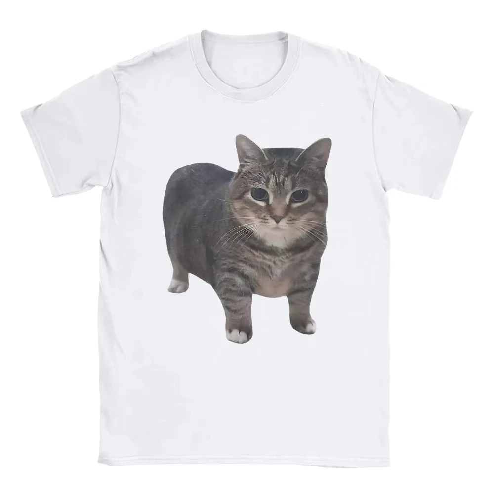 Unisex T‑shirt Funny Chubby Tabby Cat Graphic Tee Crew Neck Short Sleeve Meme Pet Animal Print Casual Daily Street Top