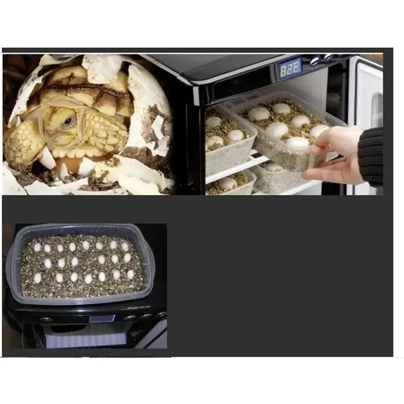 Incubator 25L Reptile Incubator Digital Science Laboratory Cooling and Heating 5-60C Suitable for Reptiles B