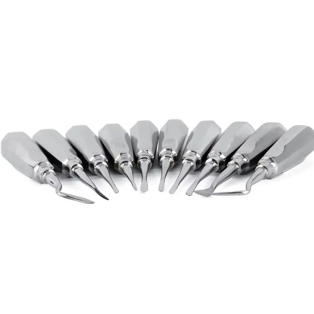 Curved Root Luxating Elevator Hex Handle Stainless Steel Dental Instrument for Atraumatic Tooth Extraction