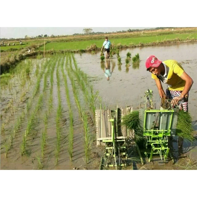 Small hand-cranked rice transplanter, mountain and hilly plain rice transplanting equipment, rice seedling planting machinery