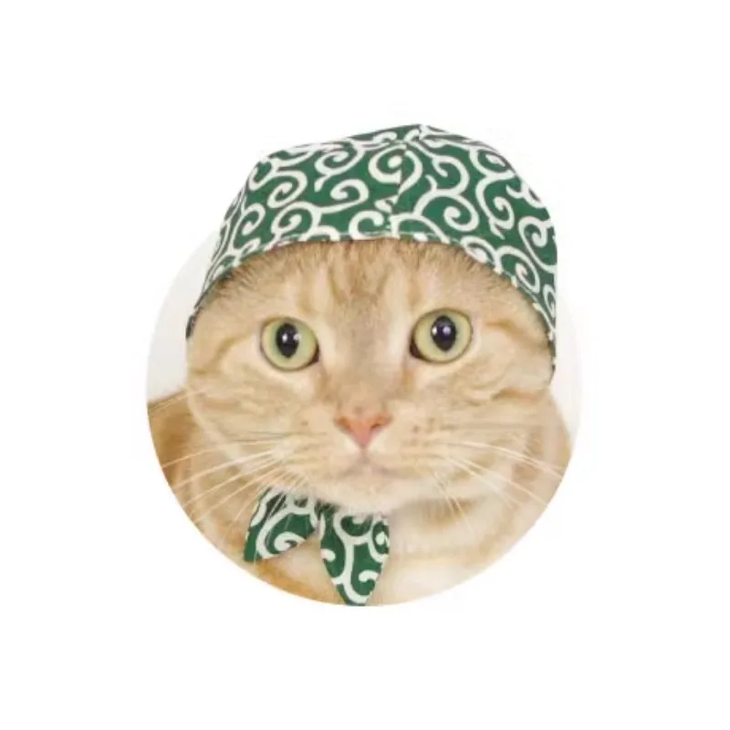 Kittam Kitten Turban Hat Head Cover First Play Tang Grass Article Spoof Cute Decorative Hand Model Gift Back To School Anime Toy