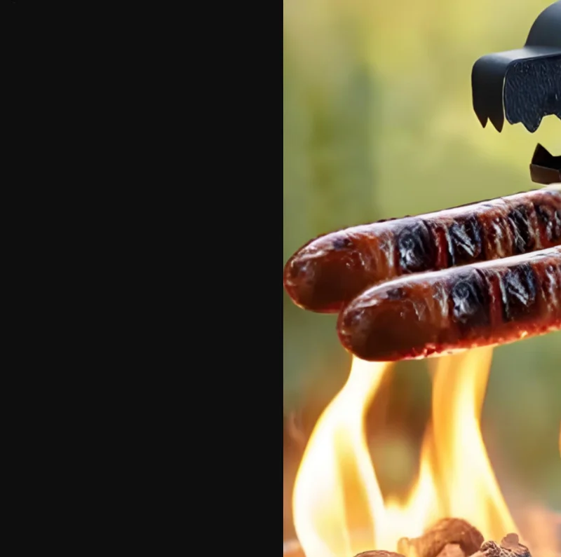 DinosaurMonster Grill Stainless Steel BBQ Grill Happy Flame Hotdog Roaster Sausage Barbeque Meat Grill Cooking Camping