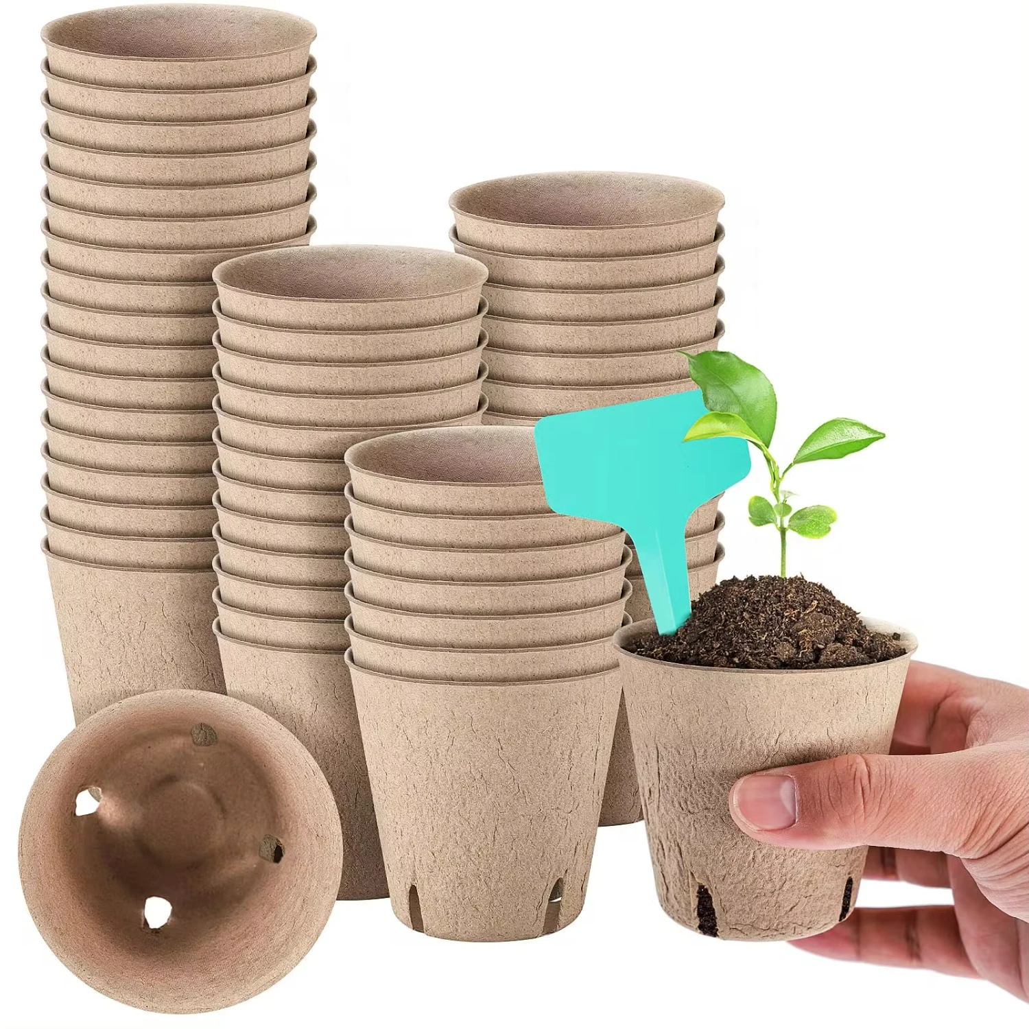 Macetas de turba de 3 pulgadas para principiantes, semillero con 15 etiquetas de piezas, Biodegradable, novedad, 50 paquetes