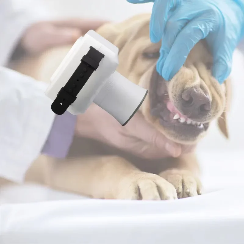 Pet cat and dog veterinarian with sensors, medical instruments, dental x-ray machine