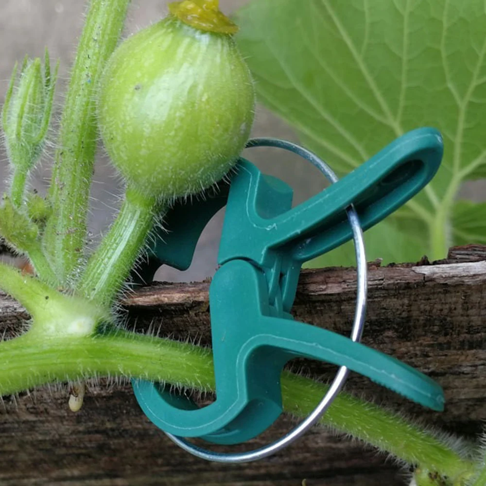 20/40/60pcs Plant Fixed Clips Reusable Greenhouse Bracket Fixing Stems Flower Vine Vegetables Tomatoes Fastener Garden Supplies