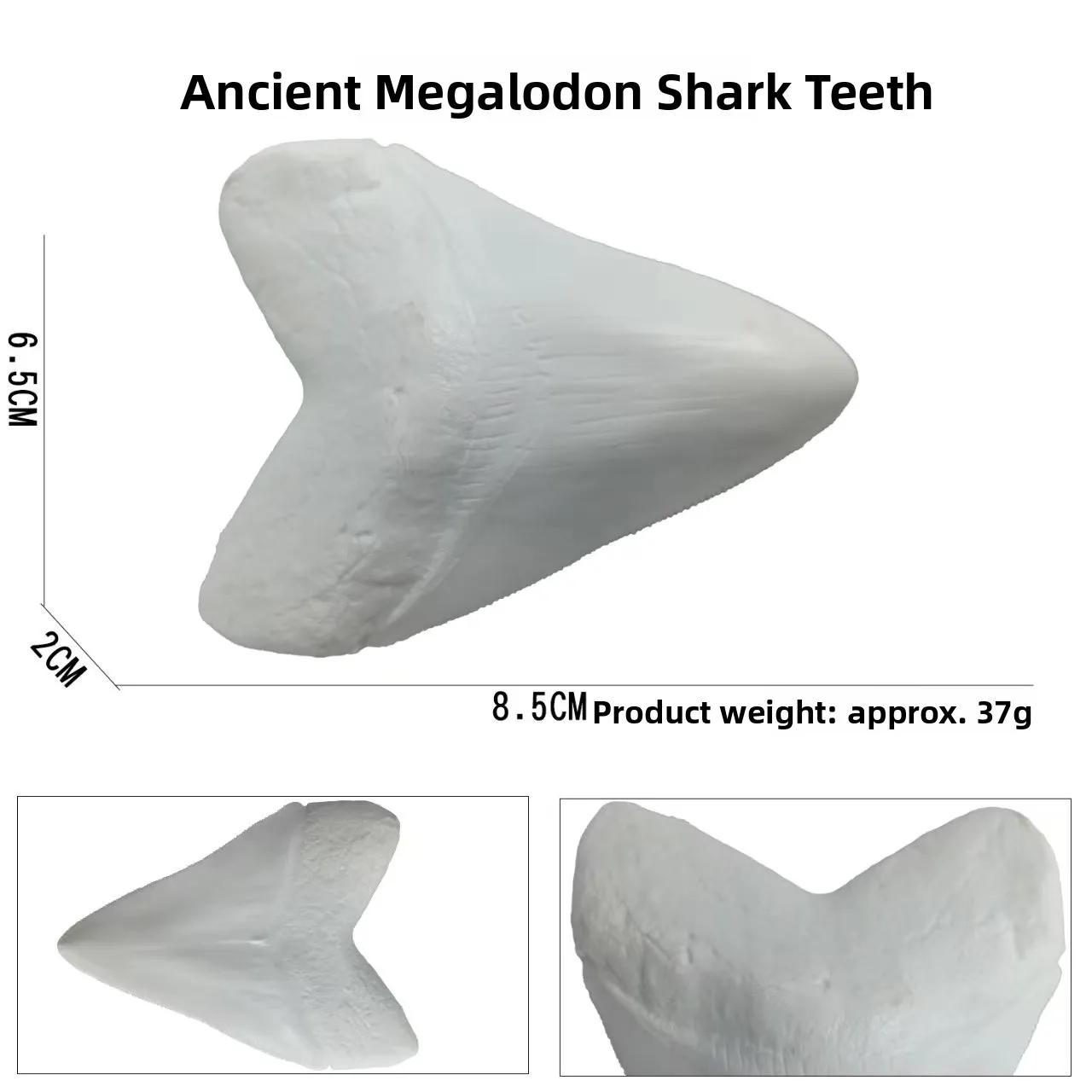 Natural Texture Shark Tooth Model 85cm Lightweight Simulation Toy for Children 3-14 Years Old LE SHANG HAO Brand