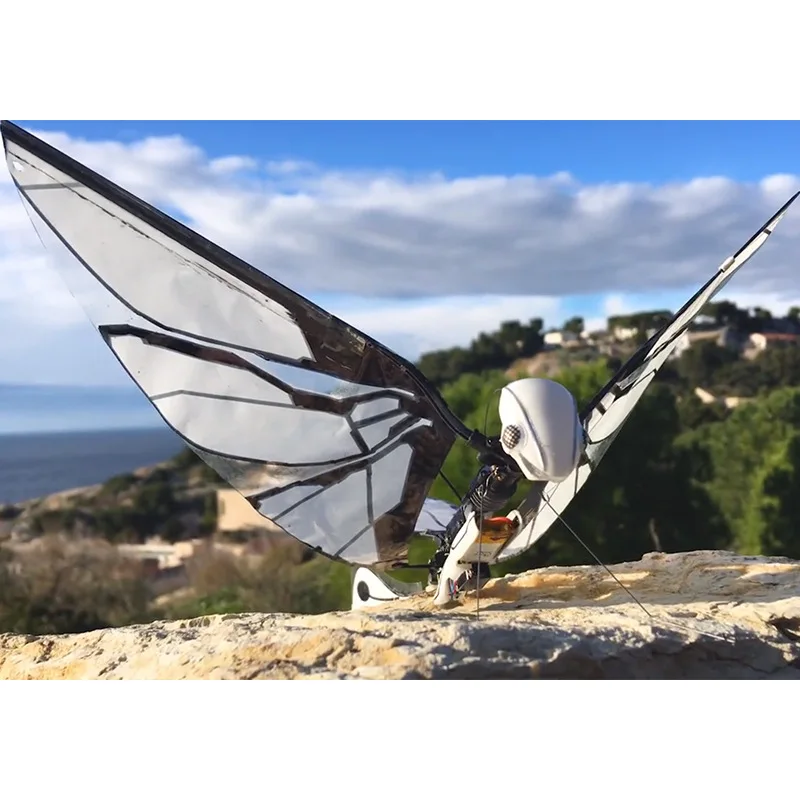 

Французская MetaFly Bionic, интеллектуальная летающая насекомая, электрическая игрушка с дистанционным управлением, маленькая беспилотная воздушная машина, радиоуправляемая игрушка для домашних животных