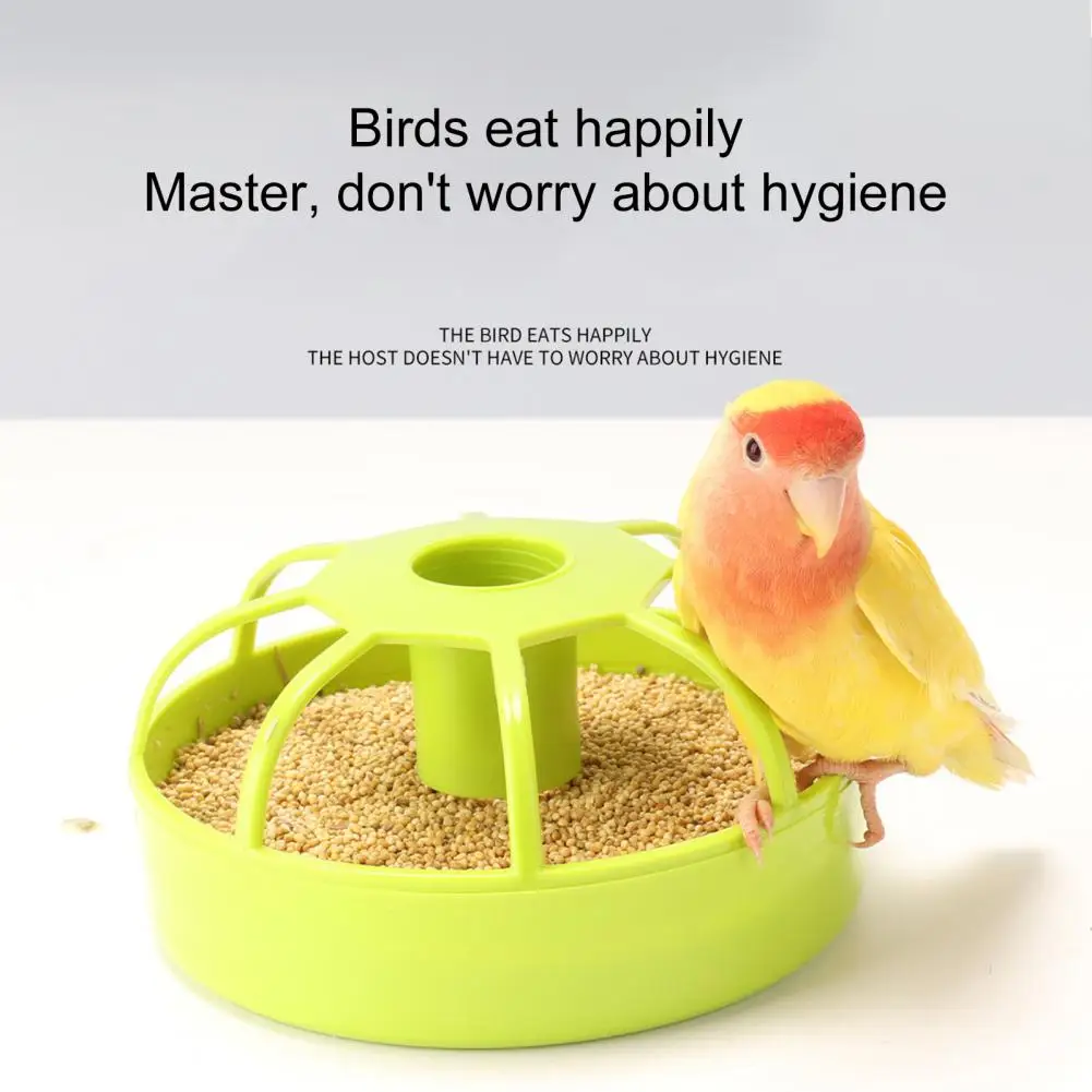 Parrot Feeder  Dual Purpose   Bird Feeder Chicken Bird Parrot Food Water Feeder