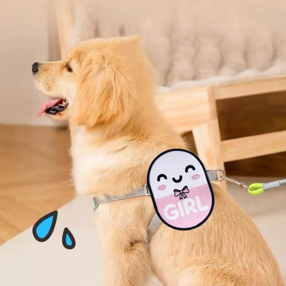 ملصقات اجتماعية للحيوانات الأليفة مقاومة للماء، شارات كرتونية مزخرفة لتهوية الكلاب على الوجهين، ملصقات تحديد الحيوانات الأليفة، تجمعات الحيوانات الأليفة