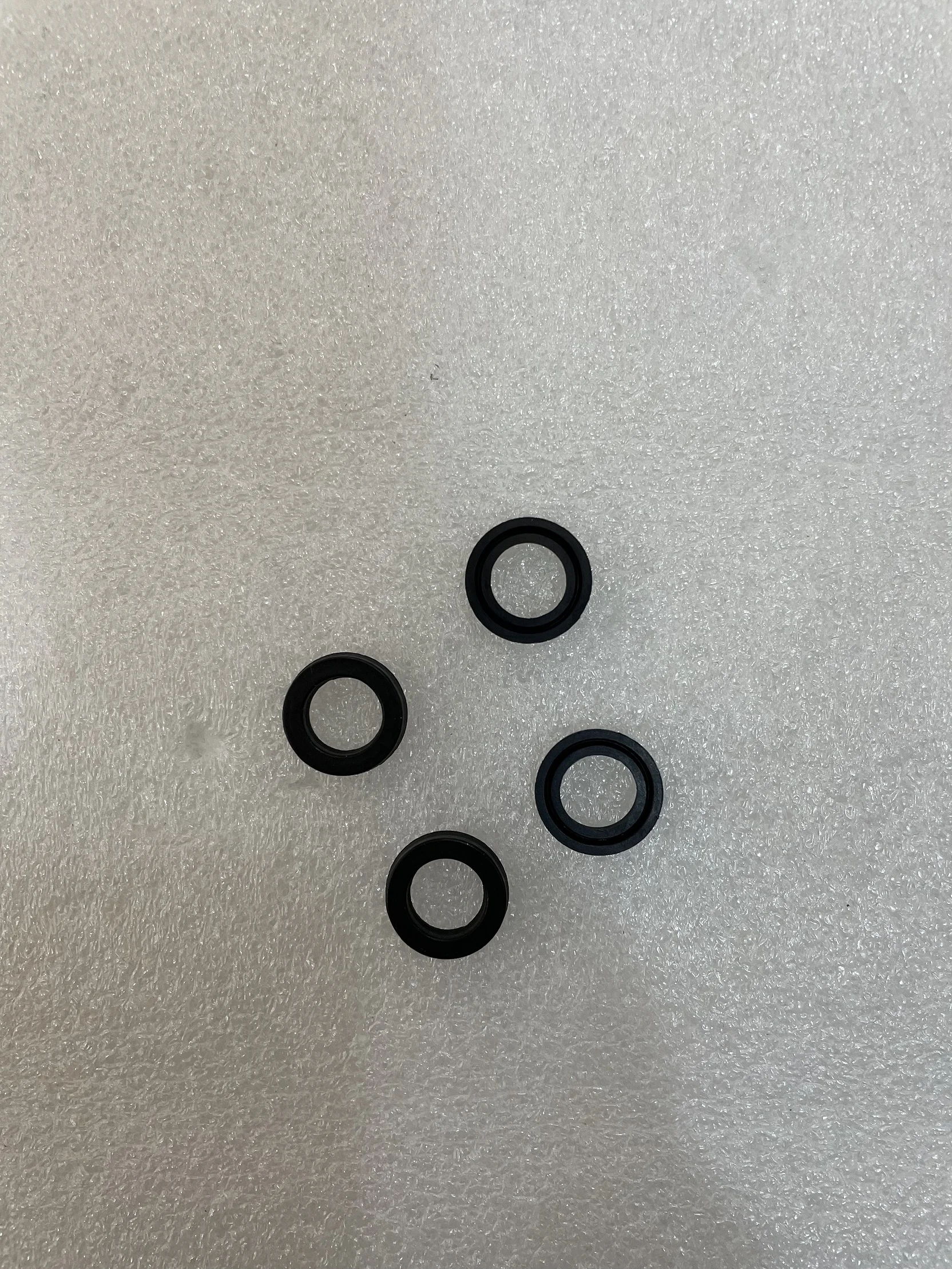 Santoni Sealess Machine SM8-TOP2V Use Gasket 0346405