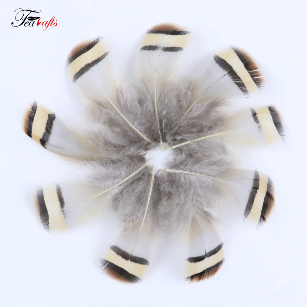 50PCS Natural Pheasant Rooster Feathers Decorative for DIY Earrings Creation Materials Clothes Sewing Accessories Plumas Crafts