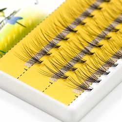 Grafting World 0.07 Individual Eyelashes 10D Lash Fan Cluster length 8mm to 14mm for Personal Make Up