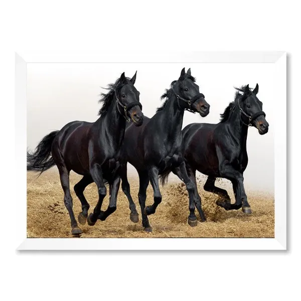 Quadro 3 Cavalos Pretos Galope Com Vidro