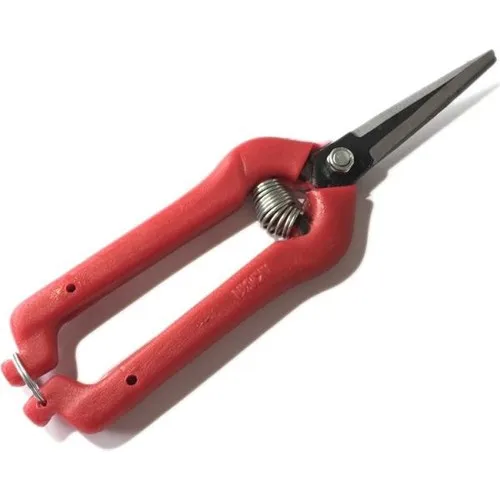 Fruit Picking Scissors (Grape, Strawberry etc.) Shears Cutting Garden Scissor Tool Anvil Branch Shear Orchard Pruning Shears