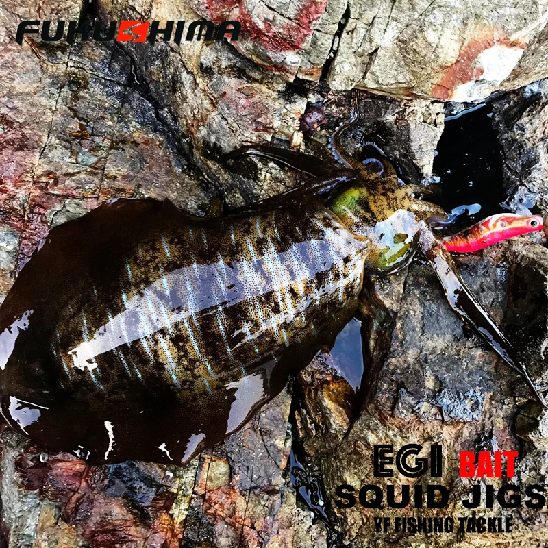 FUKUSHIMA 2-3.5 SQUID JIGS EGI LURE VISSEN HOUT GESTRIMP AAS CUTTLEFISH OCTOPS GLOW TAIL SCHERPE HAAKEN 21GRAM ROTS- EN BOOTVISSEN