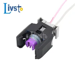 2 Pin Sealed Delphi EFI Diesel Common Rail Engine H5 H6 Injector Nozzle Auto Wire Harness Connector 13816706