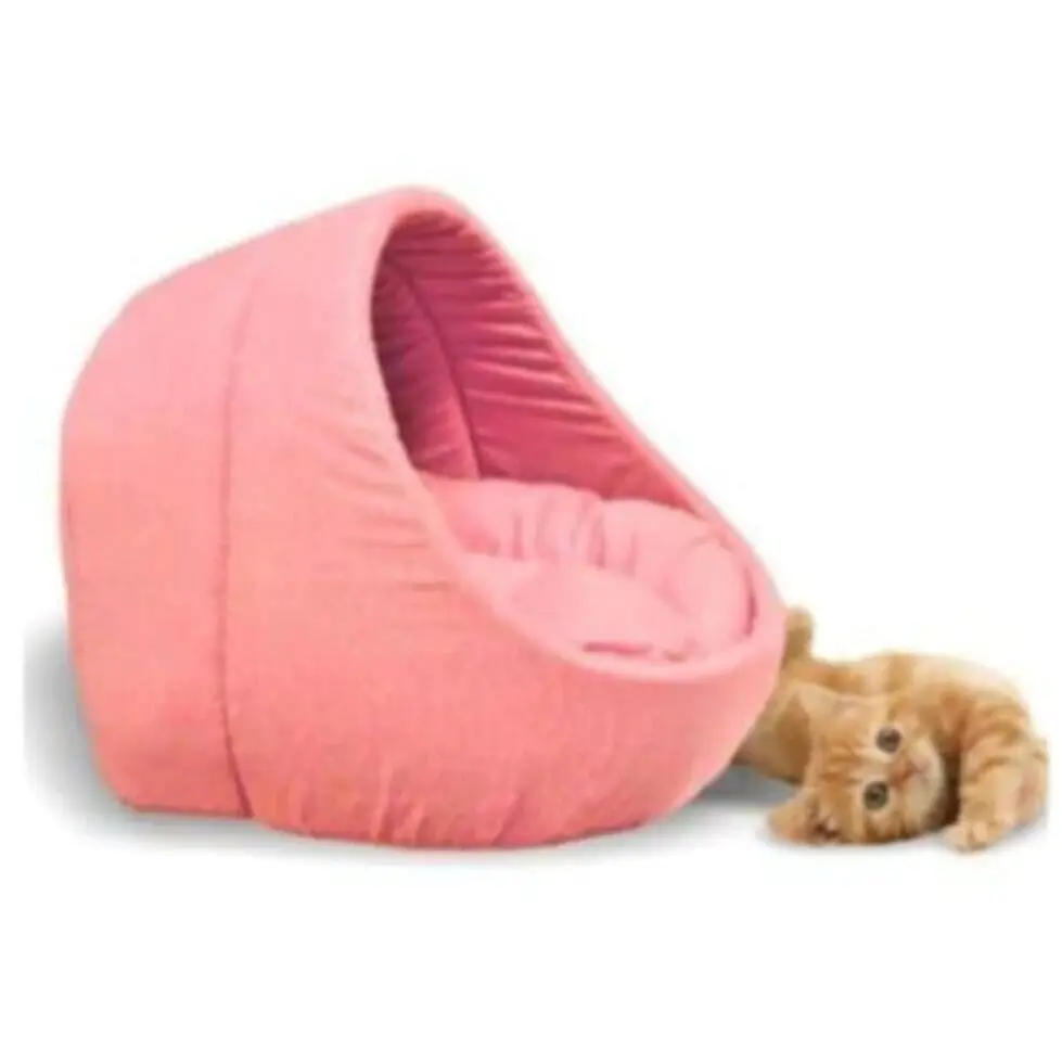 Pet bed for Cats Dogs Soft Nest Kennel Bed Cave House Sleeping Bag Mat Pad Tent Pets Winter Warm Cozy Beds