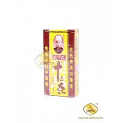 Condimento 13 especias en polvo WANG SHOU YI 45G