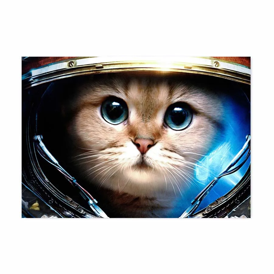 Placa Decorativa Gato Astronauta