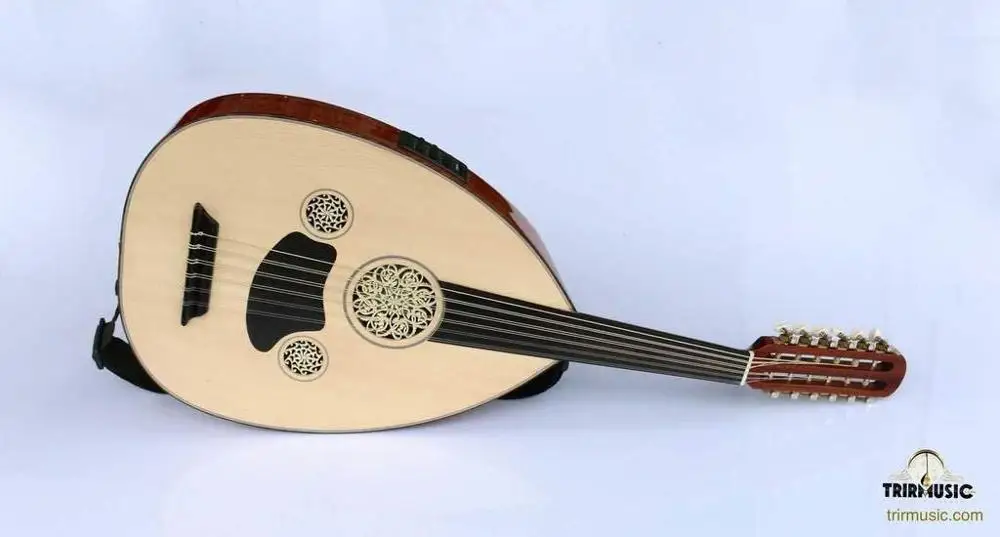 Professional Arabic Arabian Electric Oud Ud String Instrument Oude EA5