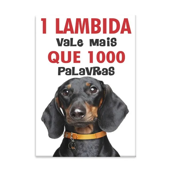 Placa Decorativa Uma Lambida Vale Mais that 1000 Palavras