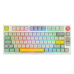 EPOMAKER TH80 PRO 75% Hot Swappable RGB 2.4Ghz/Bluetooth 5.0/Wired Mechanical Keyboard MDA PBT Keycaps Knob Control ANSI ISO