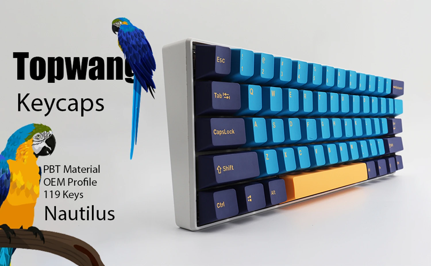 

Nautilus Keycaps, 119 Keycaps PBT Keycaps OEM Profile Doubleshot Nautilus Keycaps For Mechanical keyboards