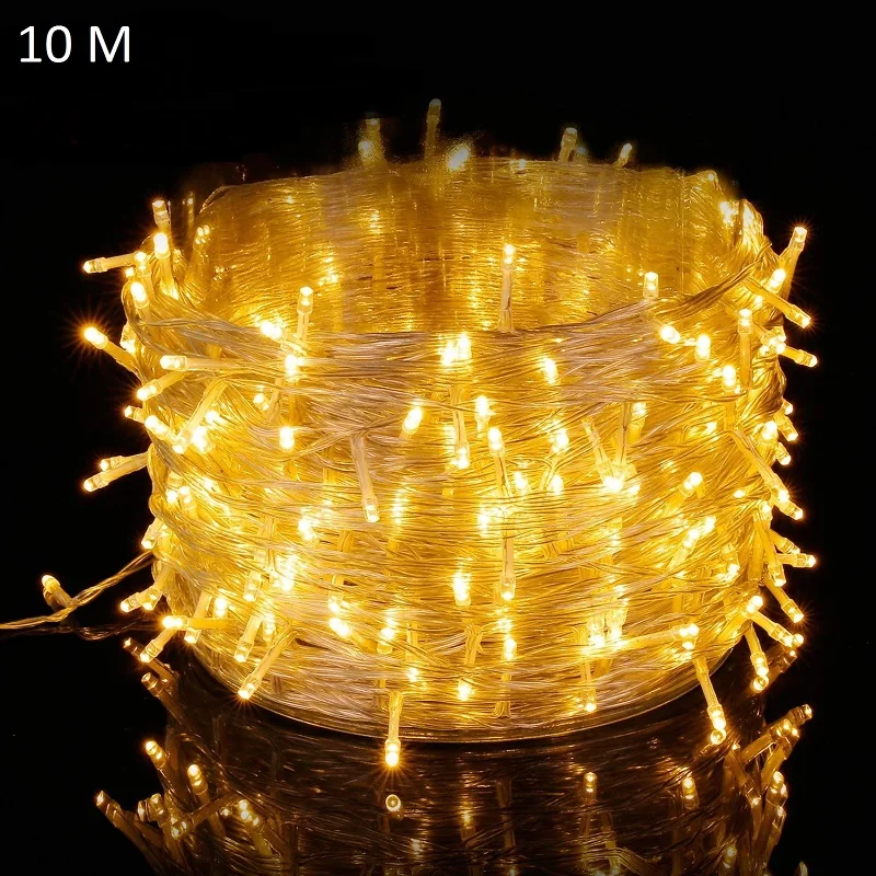 Gypsophila 10M 100 LED Christmas lights warm light, for Christmas decoration (2x10m) 