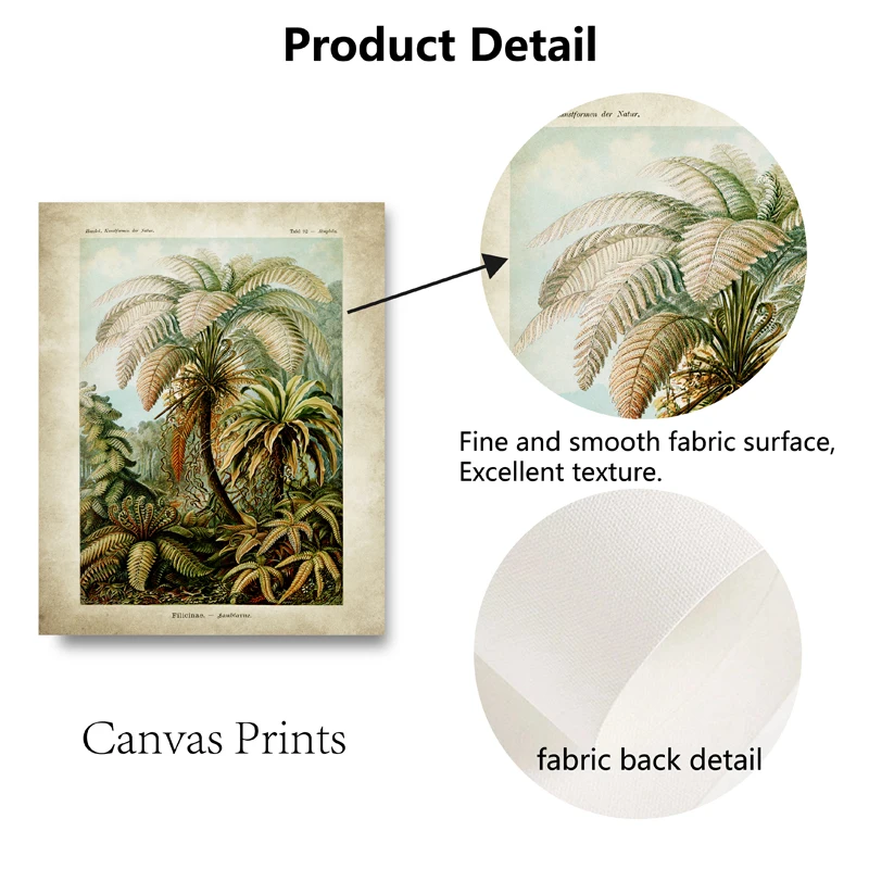 Ernst هايكل علم الأحياء الملصقات شجرة النخيل يطبع خمر الطنان النباتية الاستوائية الرسم على لوحات القماش الجدارية صور ديكور #2