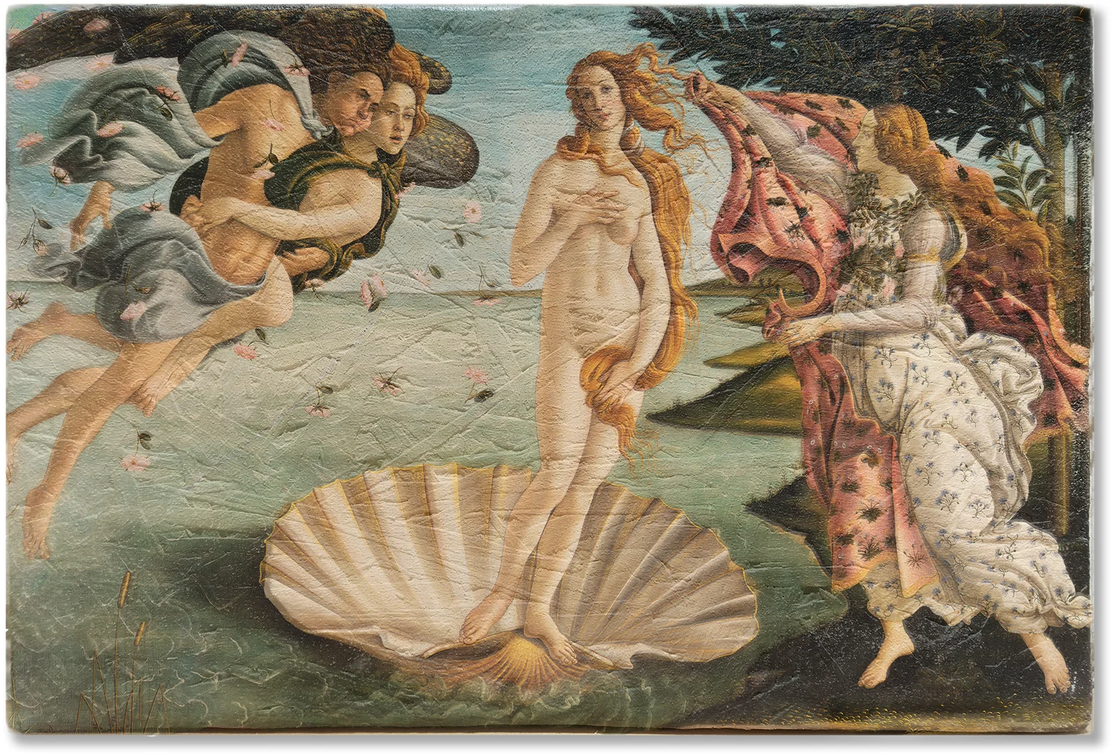 Nascimento de Venus 4K: Descubra a Beleza Clássica na Sua Casa