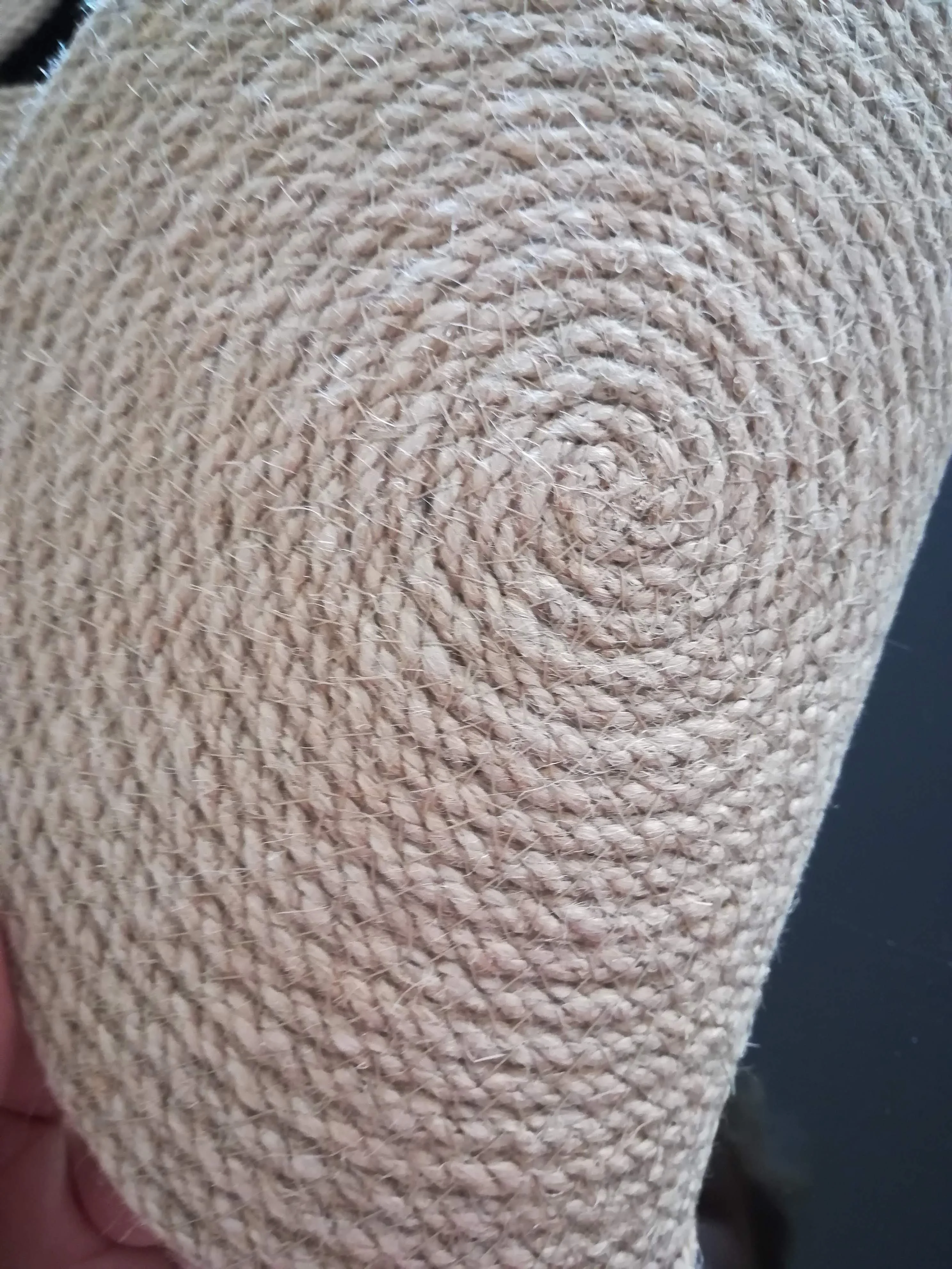 thumb