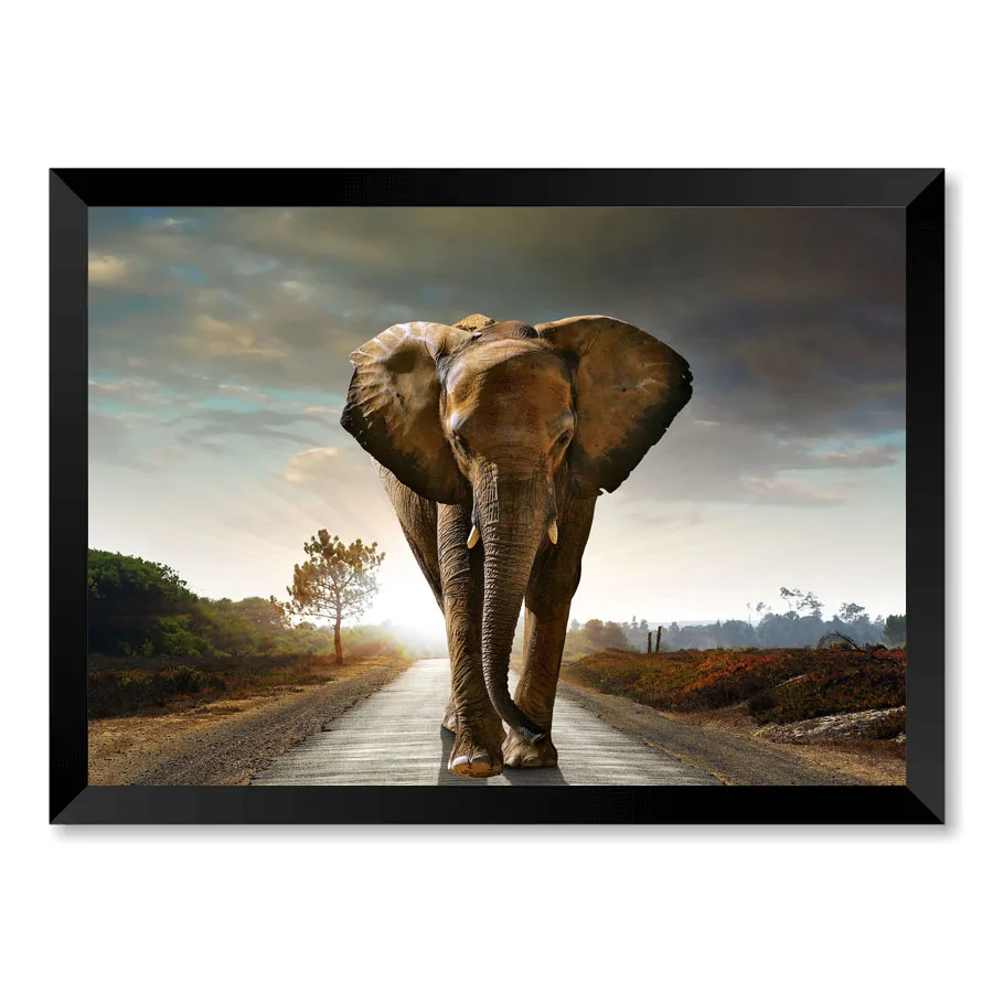 Quadro Elefante na Estrada Vidro