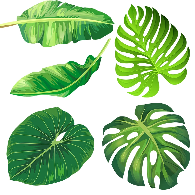 Three Ratels QCF220 Large round leaf of tropical rain forest room decoration bathroom toilet Decal