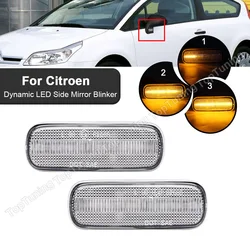 For Citroen C4 MK I Coupe Hatchback Sedan 2006 2007 2008 2009 2010 Led Dynamic Side Mirror Blinkers Turn Signal Lights #6325G2