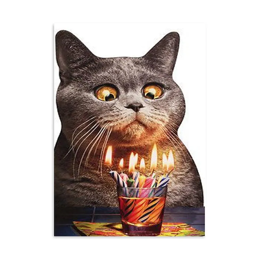 Placa Decorativa Gato Engraçado Aniversário