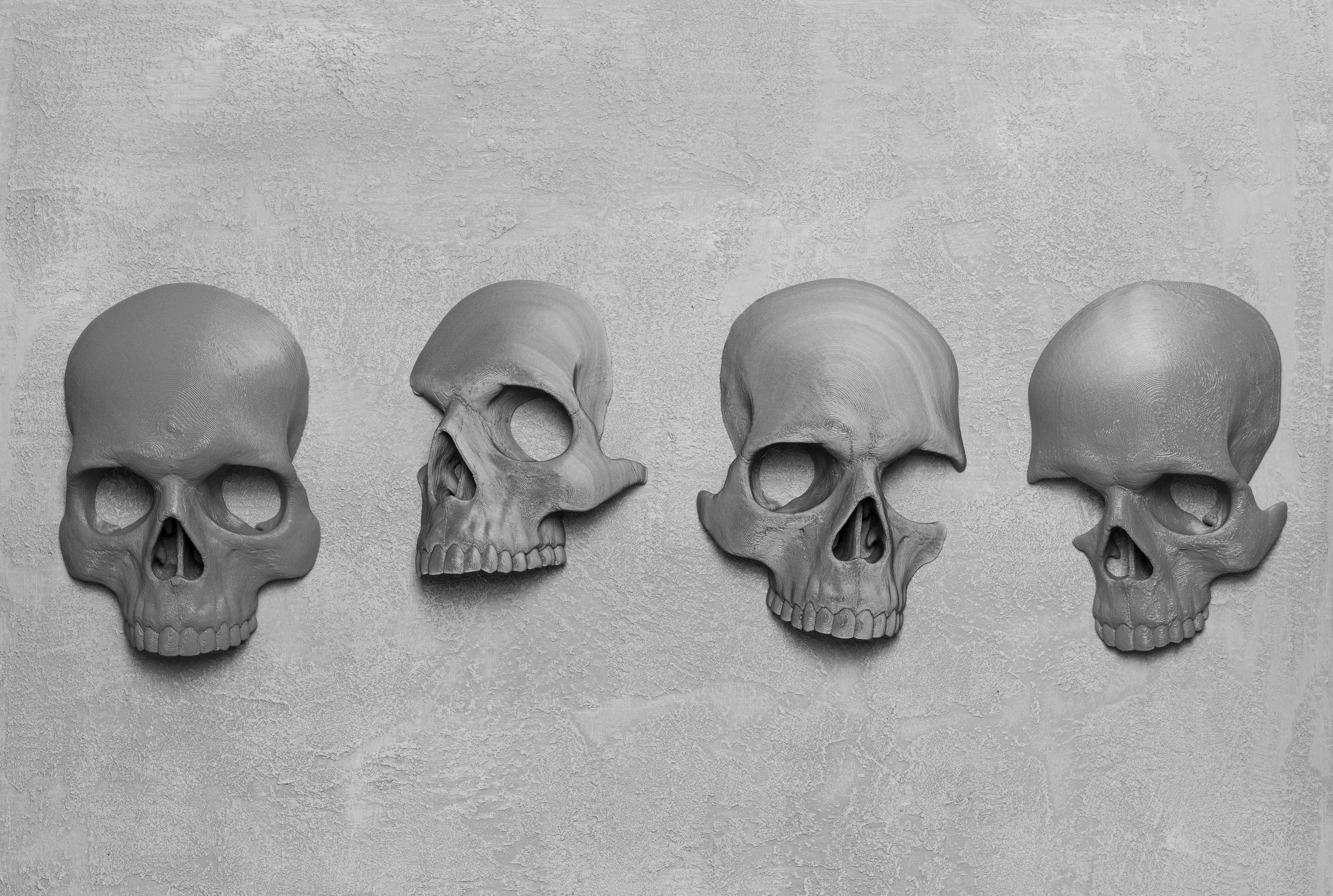 

Skull Decoration Statues Sculptures Wall Decoration Creative Skull Figurines Sculpture Board Ornaments Human Skull Halloween