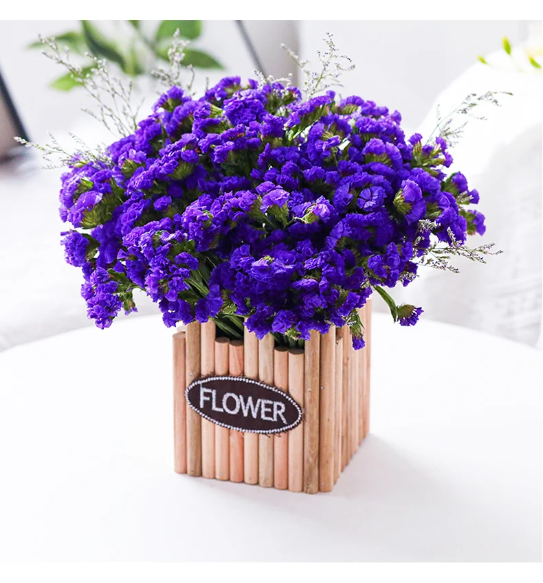 Preserved Dried Flowers Multi-Color Real Myosotis Natural Dried Forget-Me-Not Style Immortal Home Wedding Decoration Accessories