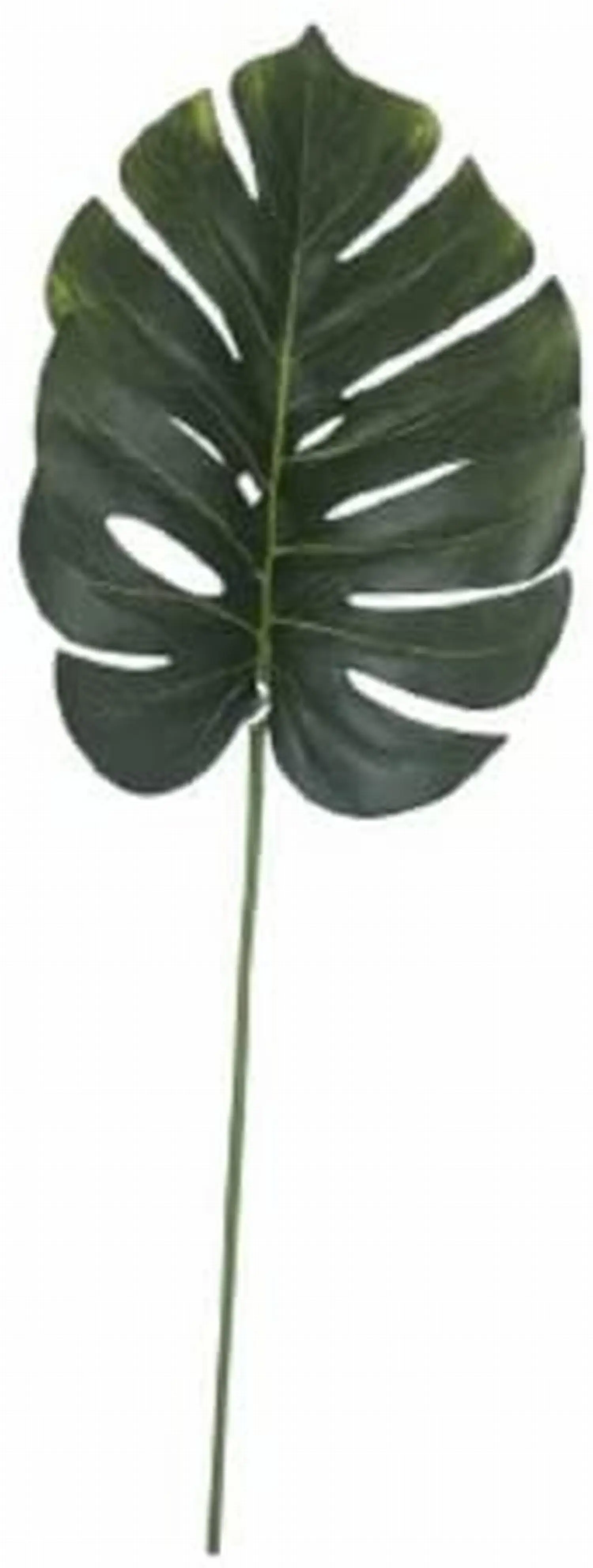 Rod leaf monstera 71 cm accessories decoration original garden