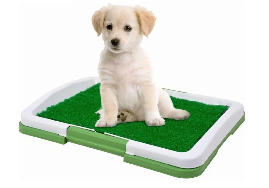 Puppy Dog Toilet Training Kit Grass Video